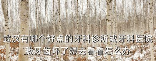 武漢有哪個好點(diǎn)的牙科診所或牙科醫(yī)院我牙齒壞了想去看看怎么辦