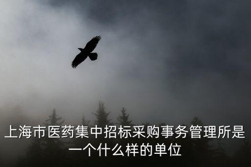 上海市醫(yī)藥集中招標(biāo)采購事務(wù)管理所是一個(gè)什么樣的單位