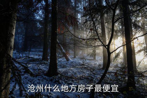 滄州什么地方房子最便宜