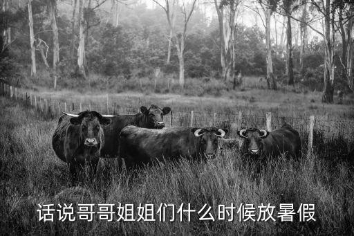 話說哥哥姐姐們什么時(shí)候放暑假