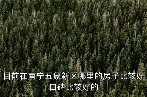 南寧房價哪個地段好點，南寧買房買那個區合適