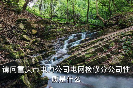請問重慶市電力公司電網(wǎng)檢修分公司性質(zhì)是什么