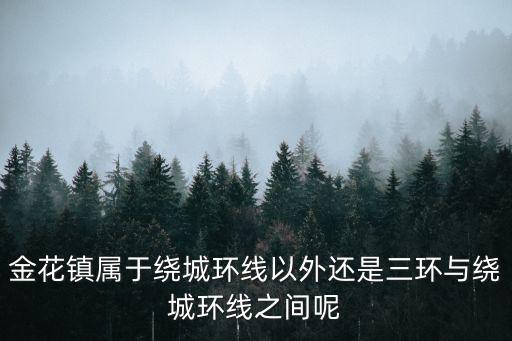 金花鎮(zhèn)屬于繞城環(huán)線以外還是三環(huán)與繞城環(huán)線之間呢