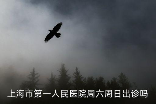 上海市第一人民醫(yī)院周六周日出診嗎