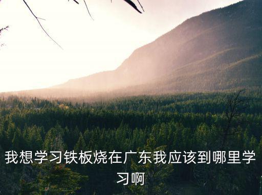 哪里可以學(xué)花式鐵板燒的廣州，廣州黃埔那里學(xué)鐵板燒烤技術(shù)培訓(xùn)