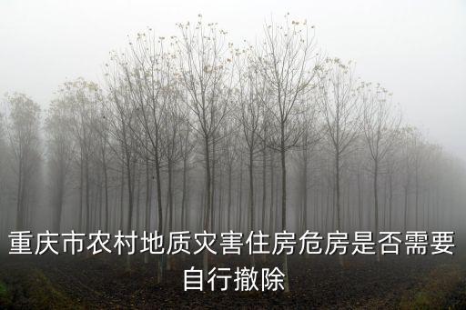 重慶市農村地質災害住房危房是否需要自行撤除
