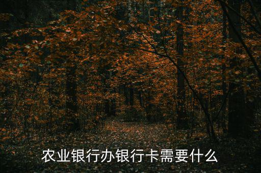 農業銀行辦銀行卡需要什么