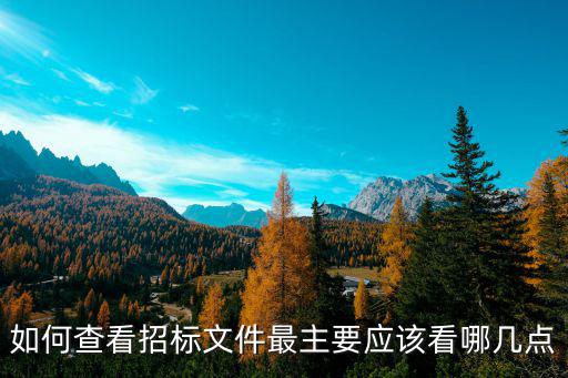 招標(biāo)文件查詢，招標(biāo)網(wǎng)上怎樣查詢信息