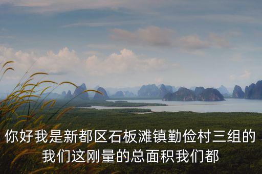 你好我是新都區石板灘鎮勤儉村三組的我們這剛量的總面積我們都