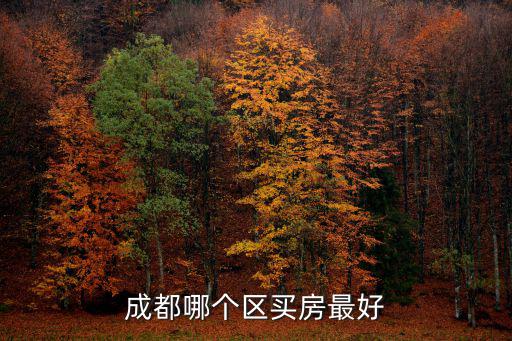 成都哪個區買房最好