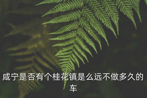 咸寧是否有個桂花鎮是么遠不做多久的車