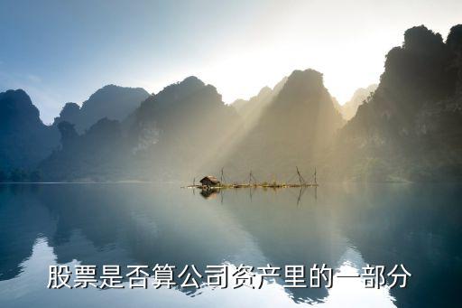 股票是否算公司資產(chǎn)里的一部分
