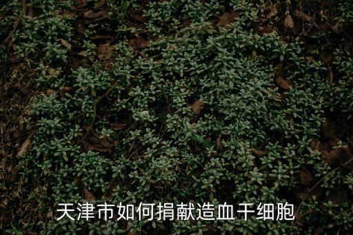 天津市干細(xì)胞醫(yī)院電話，天津市如何捐獻(xiàn)造血干細(xì)胞