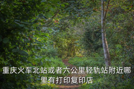 重慶市江南麗景打印店，重慶3D打印館和3D照相館在哪兒