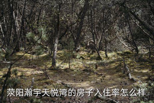 滎陽瀚宇天悅灣的房子入住率怎么樣