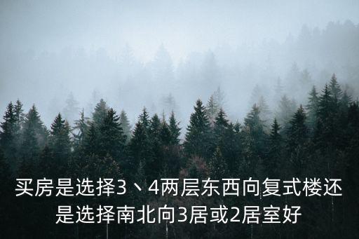 買房是選擇3丶4兩層?xùn)|西向復(fù)式樓還是選擇南北向3居或2居室好