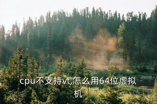 64位虛擬機,如何在虛擬機中安裝win764位?