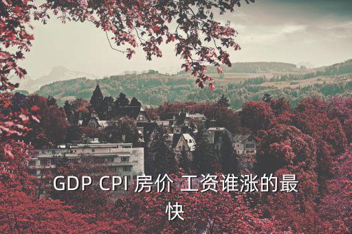 工資房價哪個漲得快，GDP CPI 房價 工資誰漲的最快