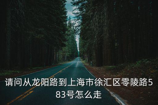 請問從龍陽路到上海市徐匯區(qū)零陵路583號怎么走