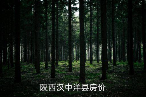 洋縣哪個地方房價底，100平方米房子在洋縣多少錢