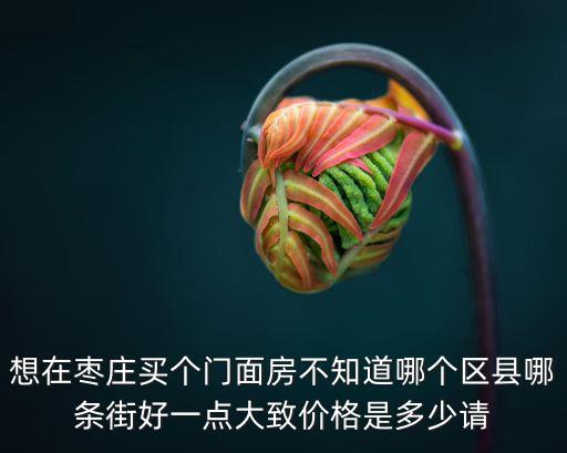 想在棗莊買個門面房不知道哪個區縣哪條街好一點大致價格是多少請