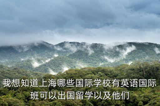 我想知道上海哪些國際學校有英語國際班可以出國留學以及他們