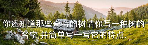 最奇特的樹,樹木也能當炸彈!這種樹真的是炸彈