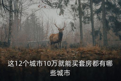 這12個(gè)城市10萬就能買套房都有哪些城市
