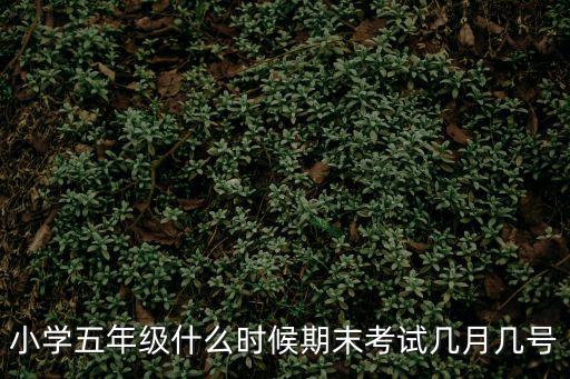 小學五年級什么時候期末考試幾月幾號