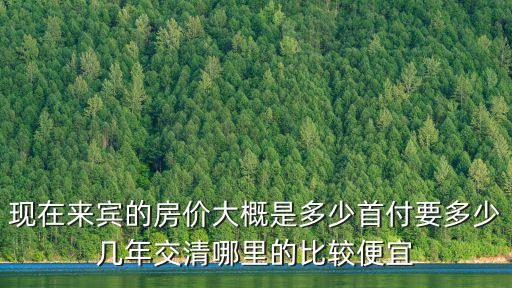 現在來賓的房價大概是多少首付要多少幾年交清哪里的比較便宜