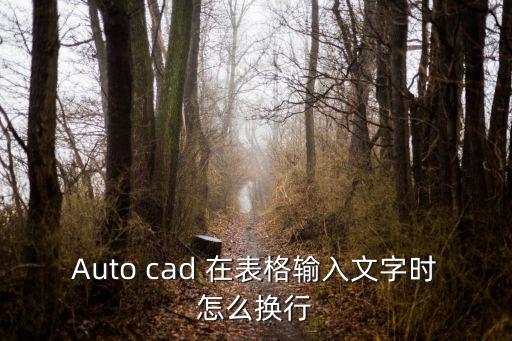 Auto cad 在表格輸入文字時怎么換行