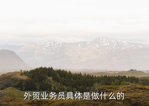 外貿業務員具體是做什么的
