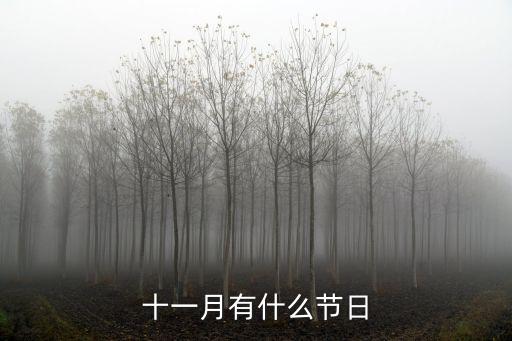 十一月有什么節(jié)日