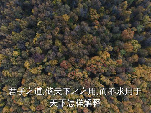 君子之道,儲(chǔ)天下之之用,而不求用于天下怎樣解釋