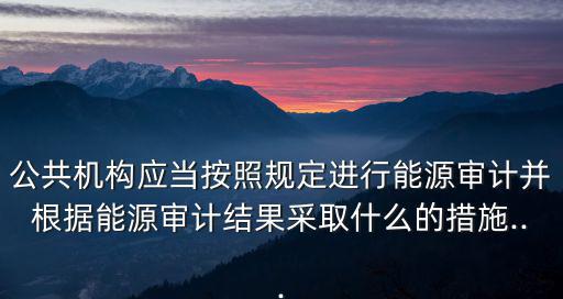 公共機構應當按照規定進行能源審計并根據能源審計結果采取什么的措施...