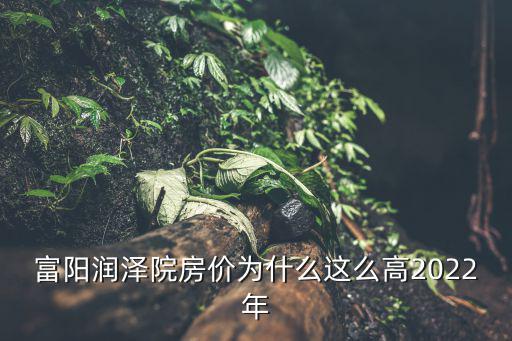 富陽哪個地方房價高，什么地區(qū)房價最高平均價