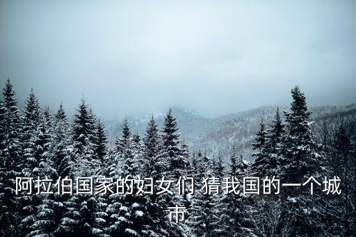阿拉伯國家的婦女們 猜我國的一個城市