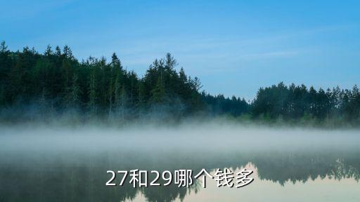 27和29哪個錢多