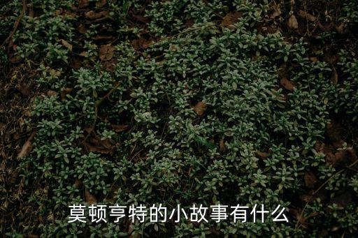 莫頓亨特的小故事有什么