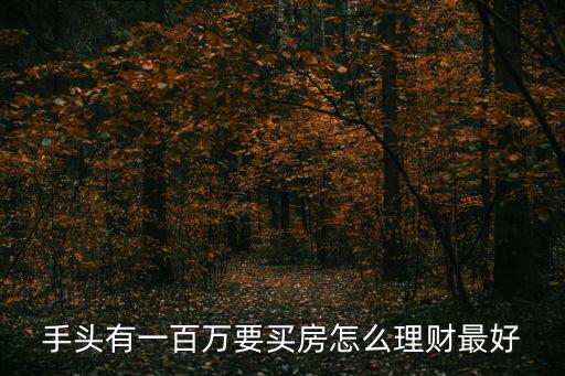 手頭有一百萬(wàn)要買(mǎi)房怎么理財(cái)最好