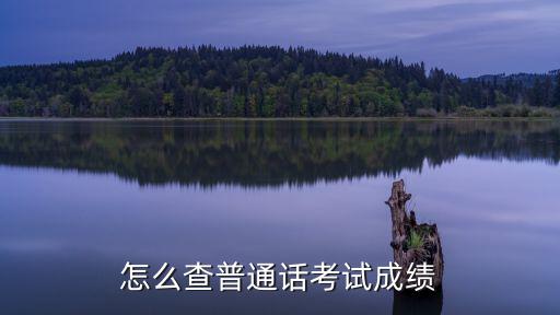 怎么查普通話考試成績