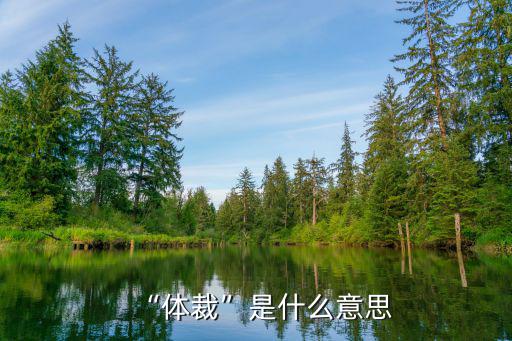 體裁是什么,文學體裁（四）:體裁是什么?