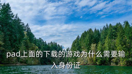 pad上面的下載的游戲為什么需要輸入身份證