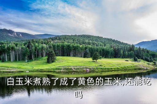 白玉米煮熟了成了黃色的玉米,還能吃嗎
