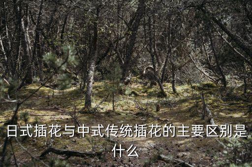 日式插花與中式傳統插花的主要區別是什么