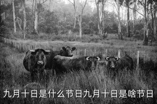 九月十日是什么節日九月十日是啥節日