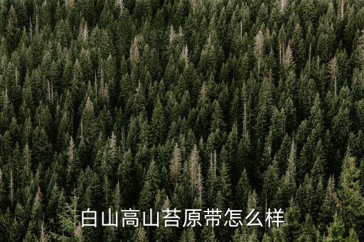 白山高山苔原帶怎么樣