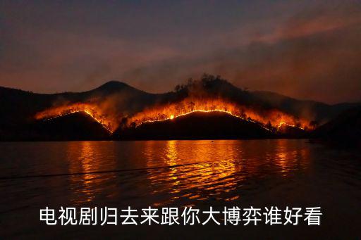 歸去來電視劇劇情介紹,《大博弈》第一集:從商業到情感歸去來