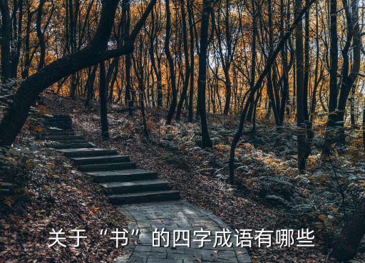 關于“書”的四字成語有哪些