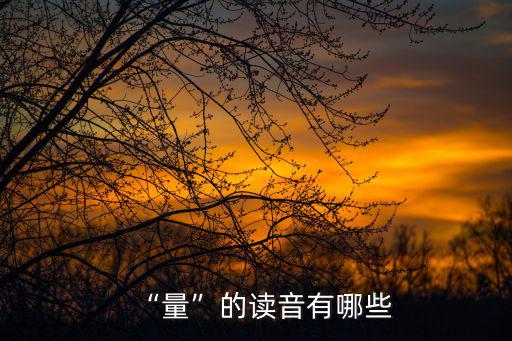 “量”的讀音有哪些